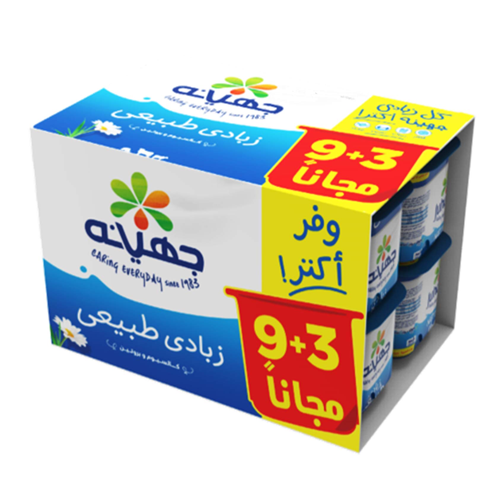 جهينه زبادى105جرام9+3